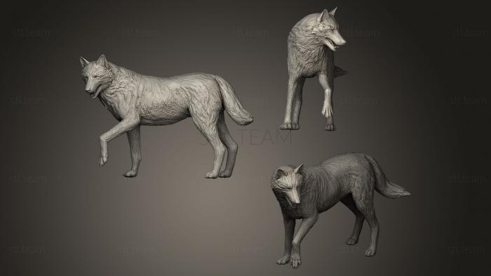 3D model Wolf Posed (STL)